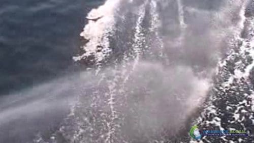 AQUAQUICK 2000 Sea Oil Spill Rig Cleaning Demo 2 072