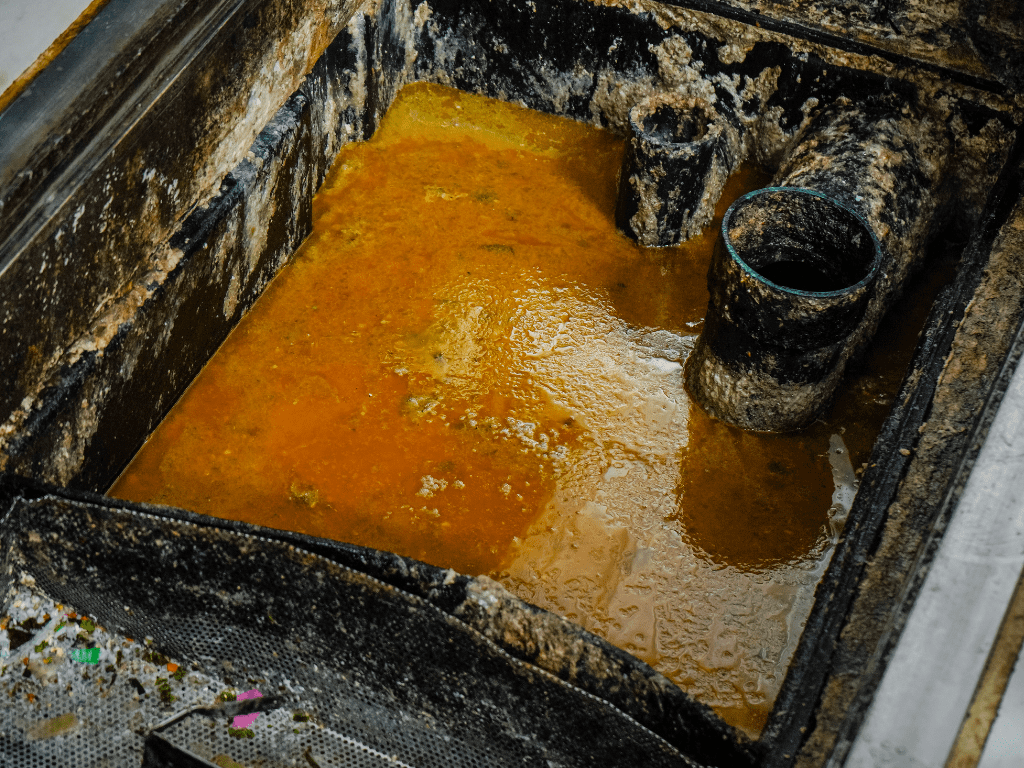 Ultimate Grease Trap Cleaning Guide: DIY Solutions & AquaQuick 2000 Integration 2 Guida alla pulizia dei sifoni