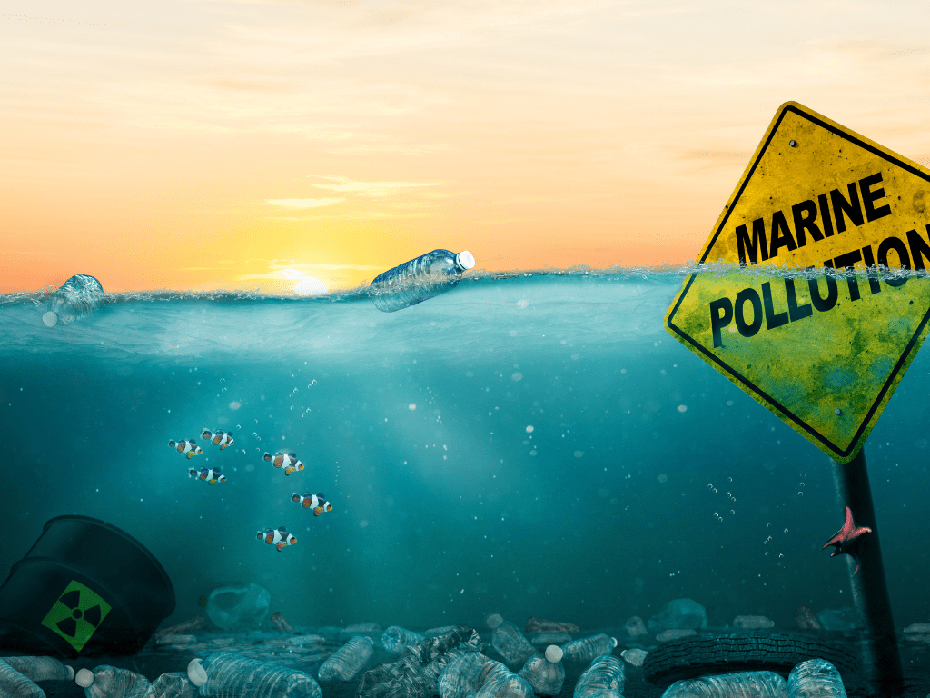 How Does an Oil Spill Affect the Fishing Industry? A Comprehensive Guide 2 dampak tumpahan minyak terhadap industri perikanan