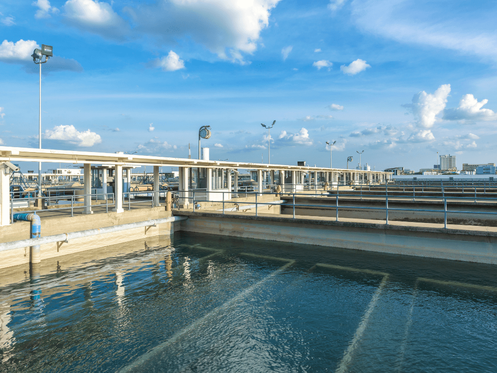 filtración de tanques marinos y acuarios de agua salada