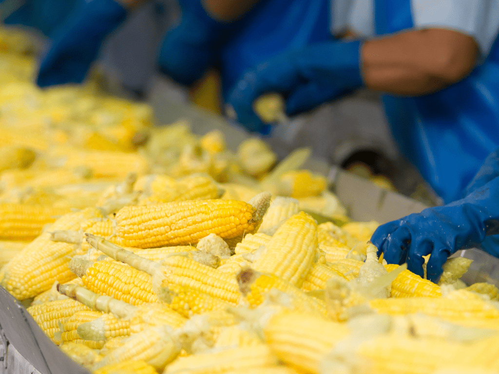 How Food Processing Plants Can Maintain Hygiene with Non-Toxic Cleaners 3 Netoksiškos valymo priemonės maisto perdirbimo įmonėse